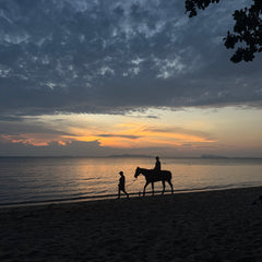 Fisherman's Horse Riding, Lipa Noi