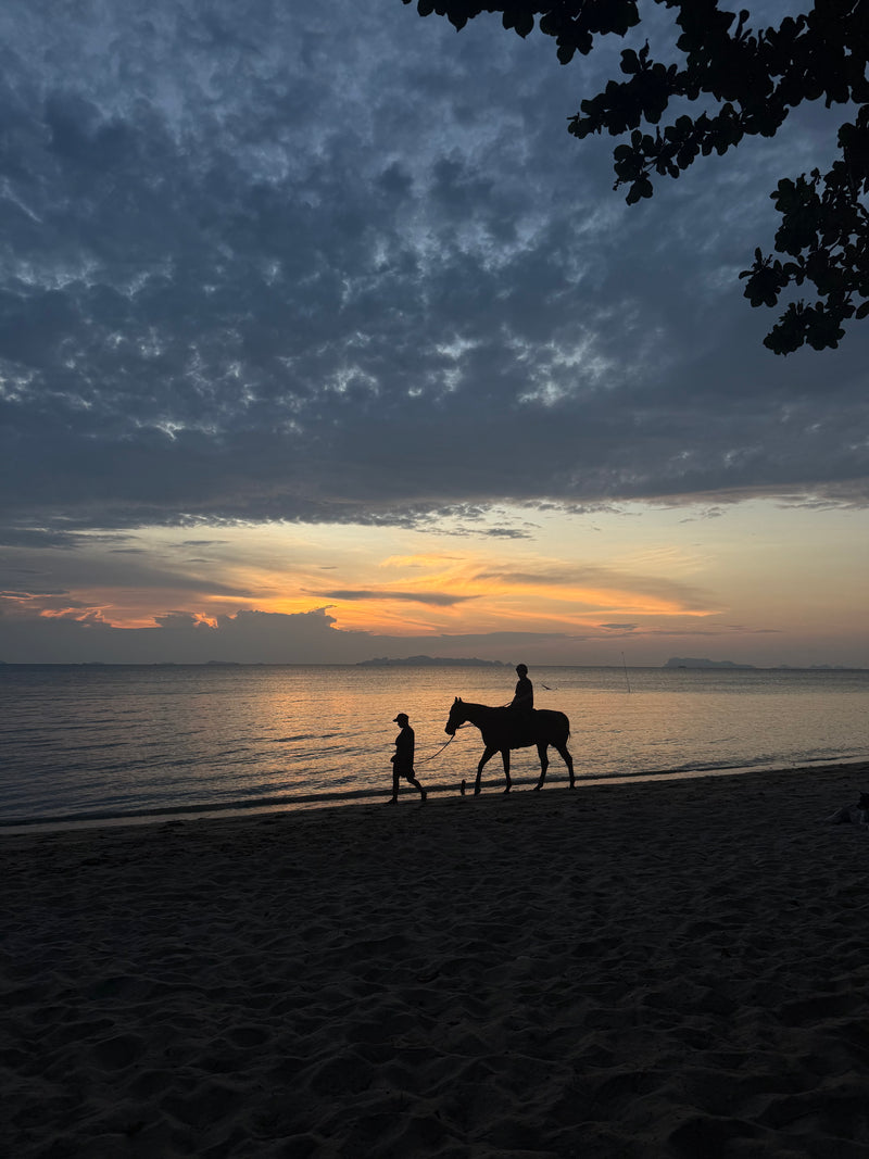 Fisherman's Horse Riding, Lipa Noi