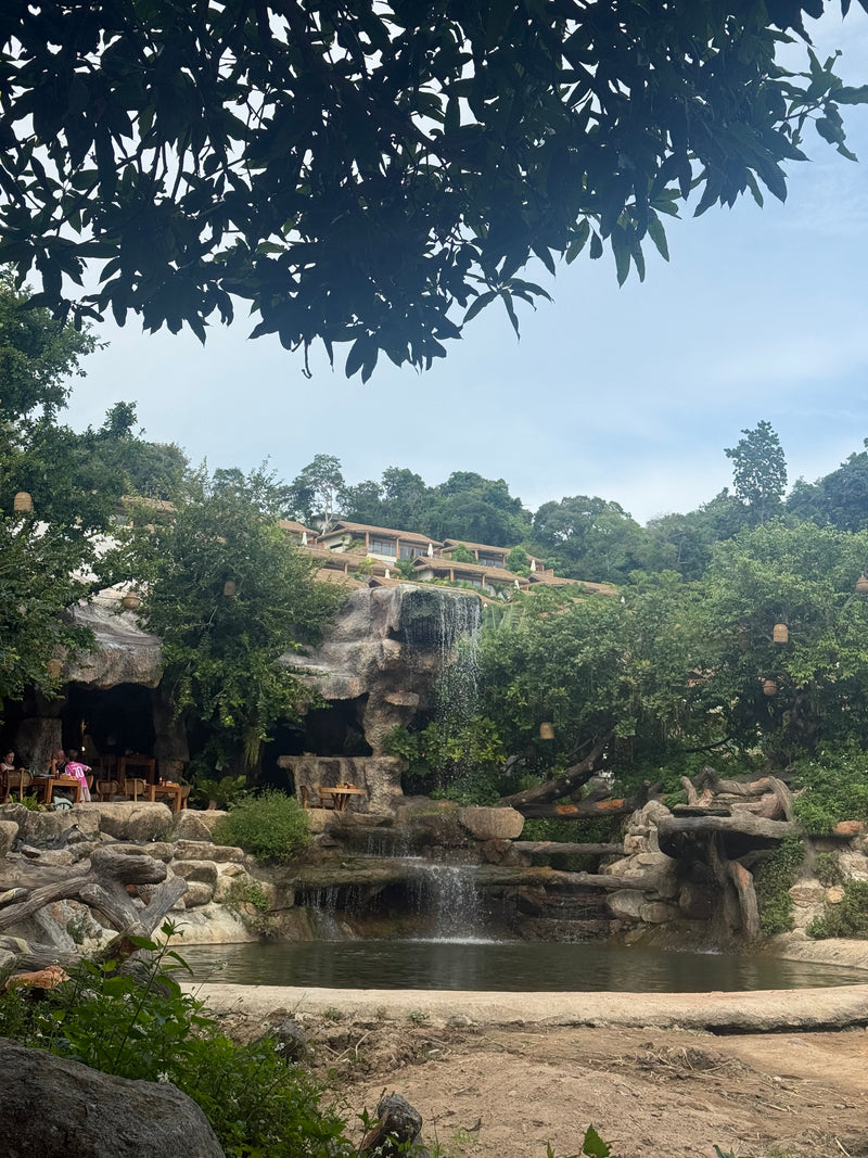 Haven Elephant Cafe, Bo Phut