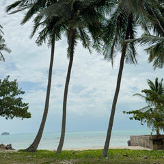 Taling Ngam Beach, Taling Ngam