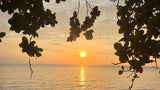 Which Koh Samui villas are best for a large group?