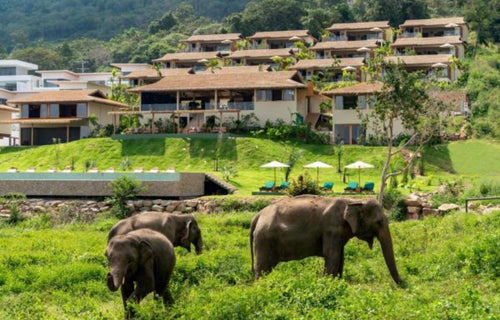 Wild Cottages Elephant Sanctuary Resort, Bo Phut - photo 2 of 3