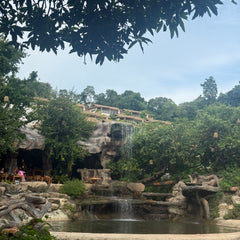 Haven Elephant Cafe, Bo Phut